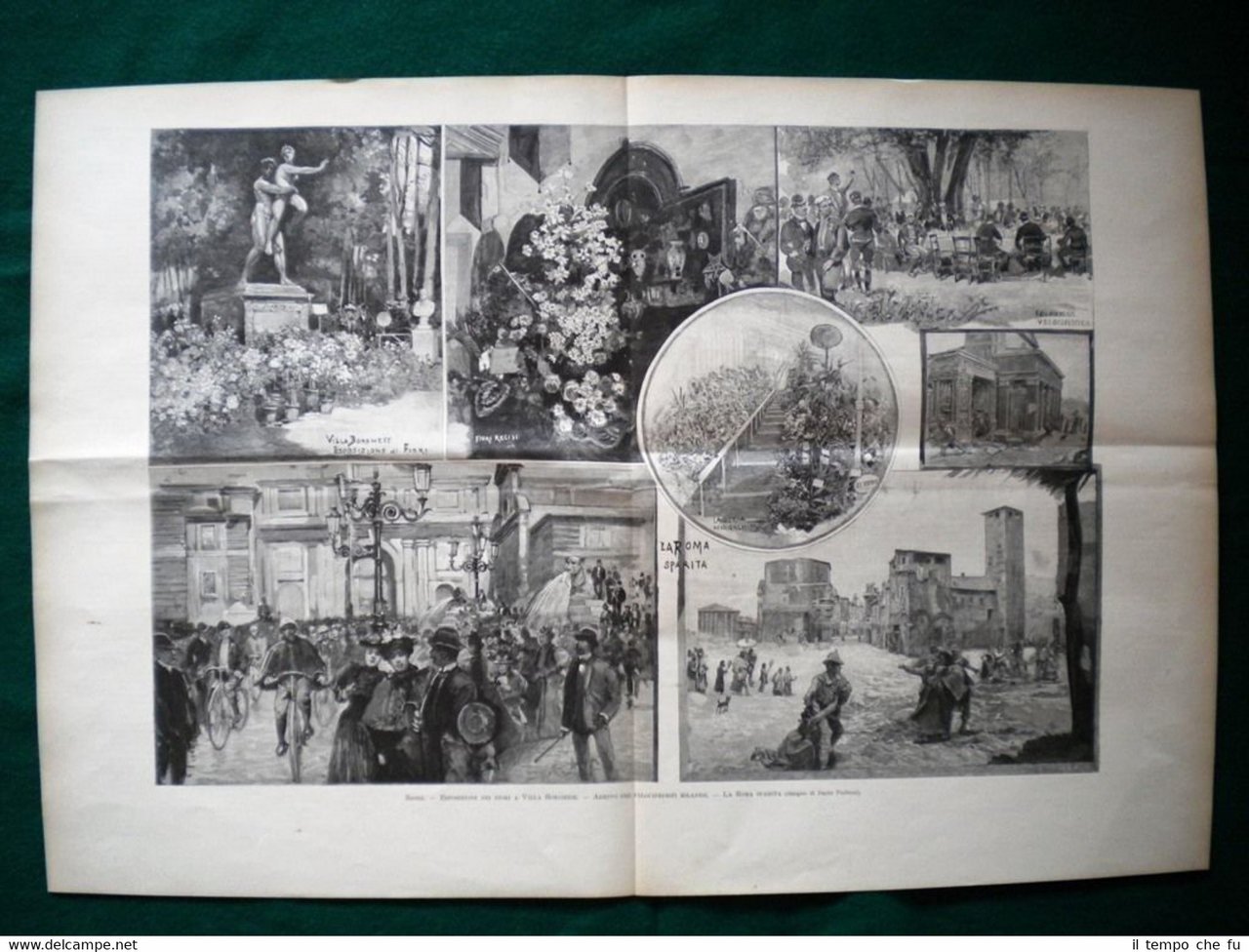 Incisione enorme - Roma nel 1895 - Esposizione dei fiori …