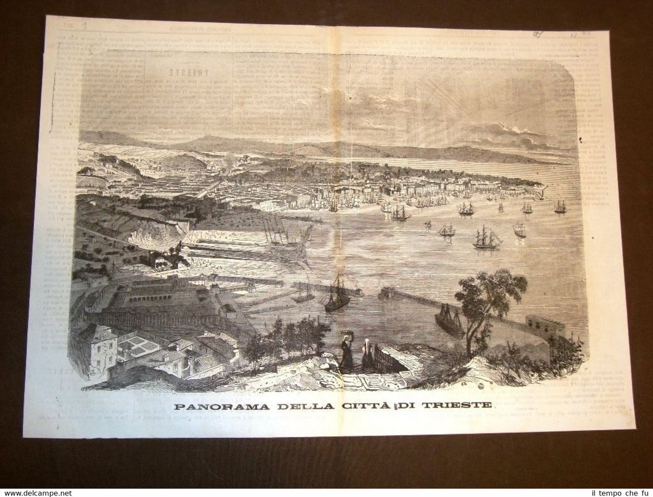 Incisione enorme del 1865 Panorama della città di Trieste Dettagliatissimo