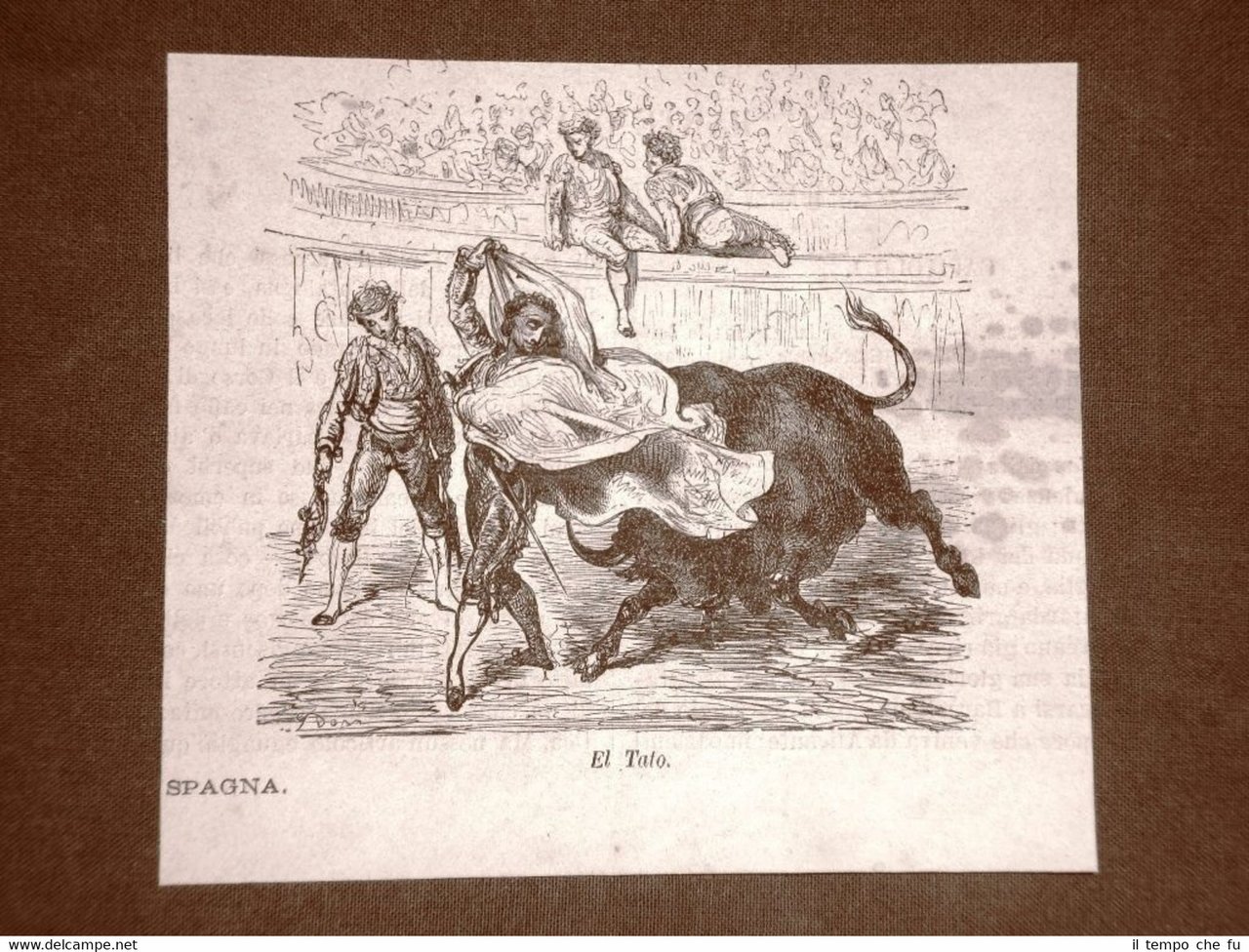 Incisione Gustave Dorè del 1874 Combattimenti di tori El Tato …