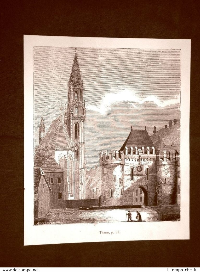 Incisione in rame del 1849 Veduta Città di Thann o …