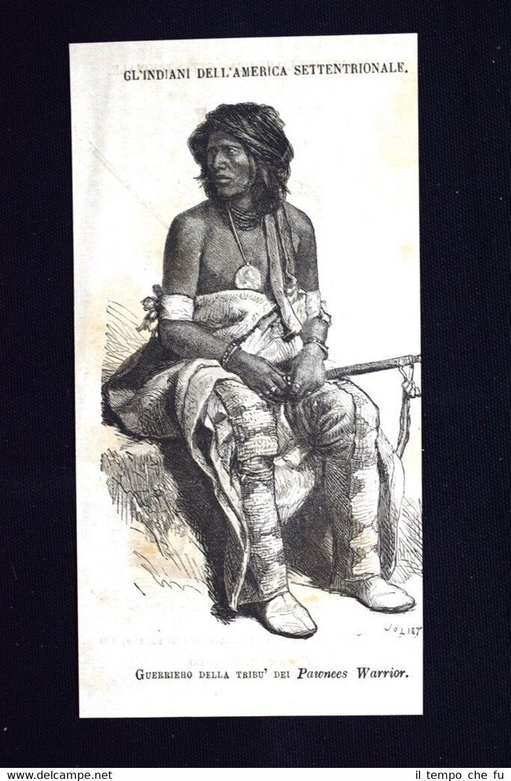 Indiani America:Guerriero + Ne-Sho-Da-Si-Di-Ta-Ri-Ku Incisione del 1871
