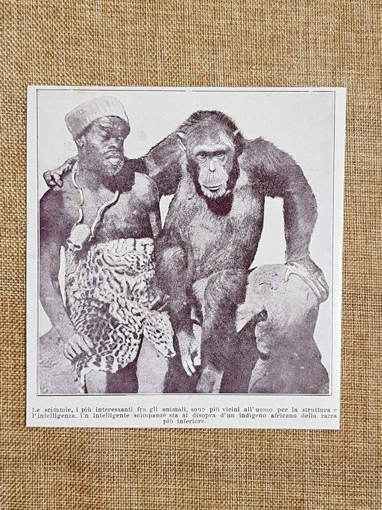 Indigeno africano e scimpanzè Stampa del 1930