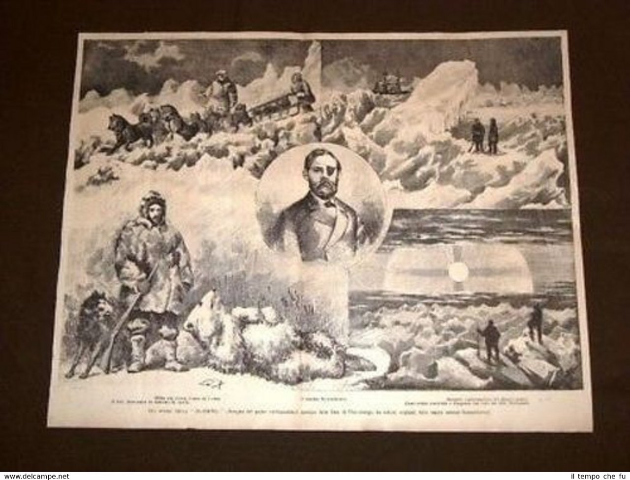 Jeannette Dott. Newcombe Tenente Dannenhower Polo