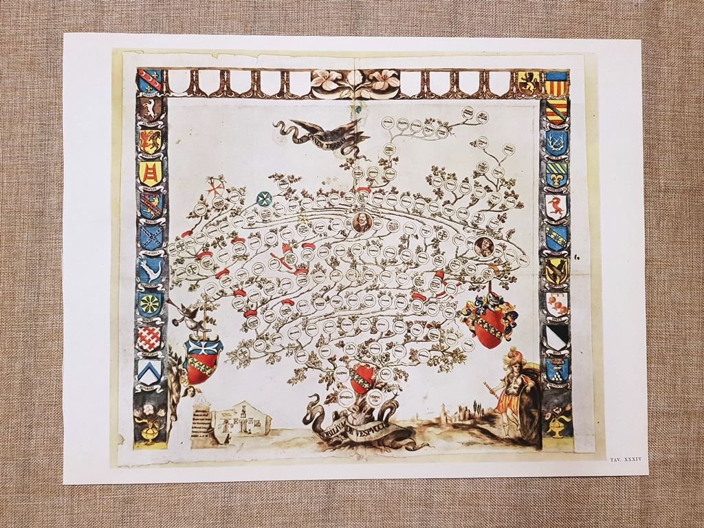 L'albero genealogico della Famiglia di Amerigo Vespucci Tavola del 1950 | Immagine principale