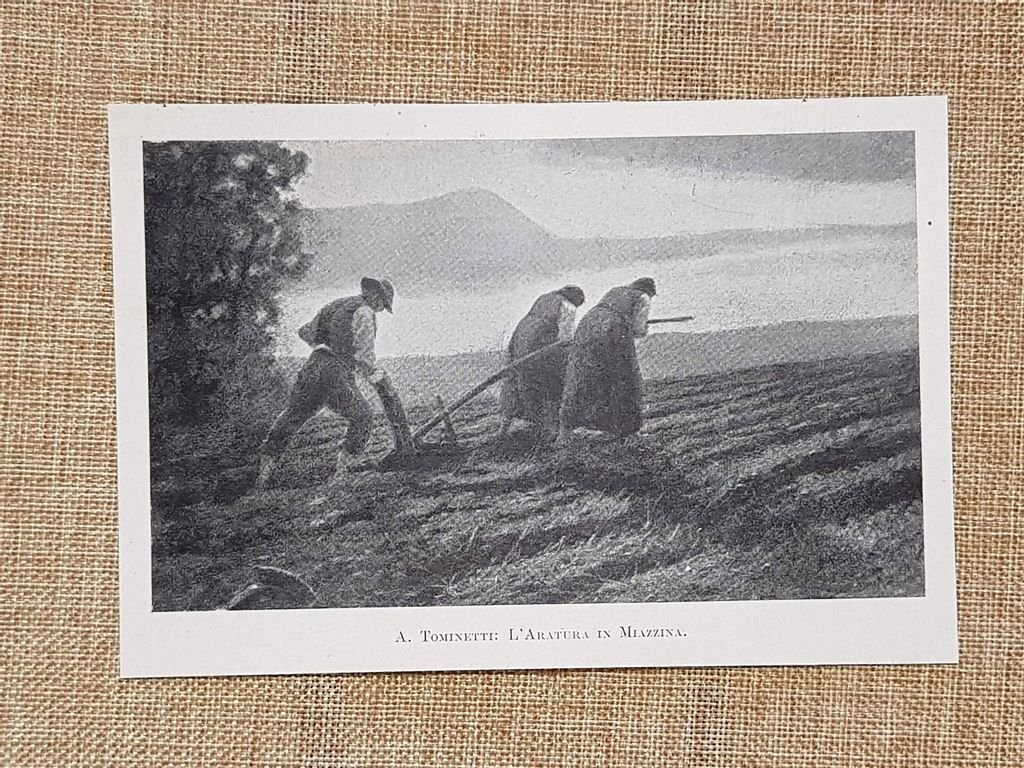 L’aratura a Miazzina Quadro di Achille Tominetti divisionismo Stampa del … | Immagine principale