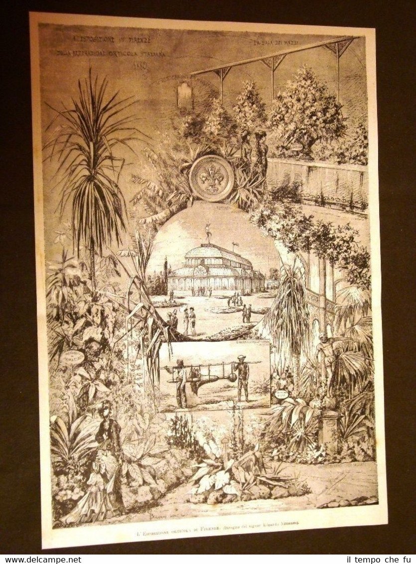 L'Esposizione orticola di Firenze del 1880 Ortaggi e agricoltura nel …