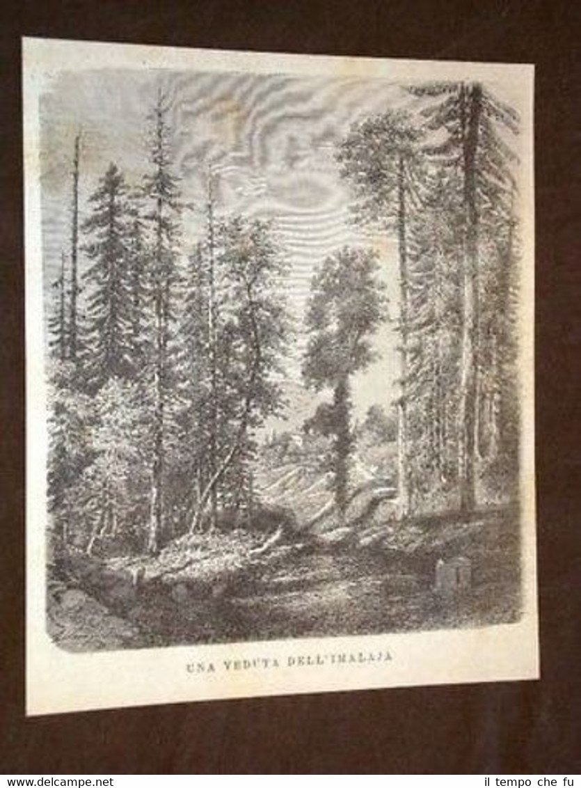 L'Himalaya o Himalaia India Pakistan Nepal Bhutan | Immagine principale