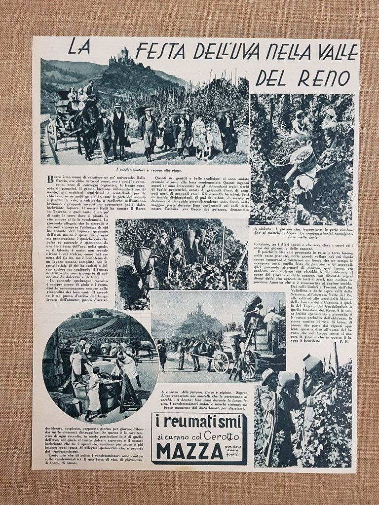 La Festa dell'uva e del vino nella Valle del Reno …