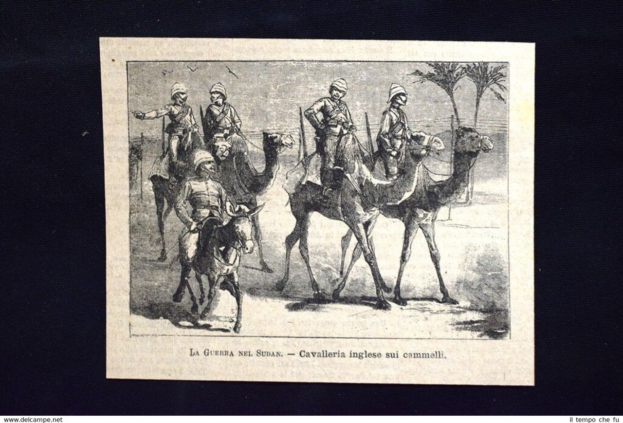 La guerra nel Sudan - Cavalleria inglese sui cammelli Incisione …