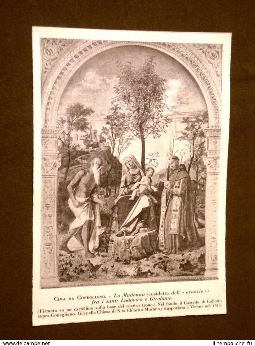 La Madonna dell'arancio tra San Ludovico e San Girolamo - … | Immagine principale