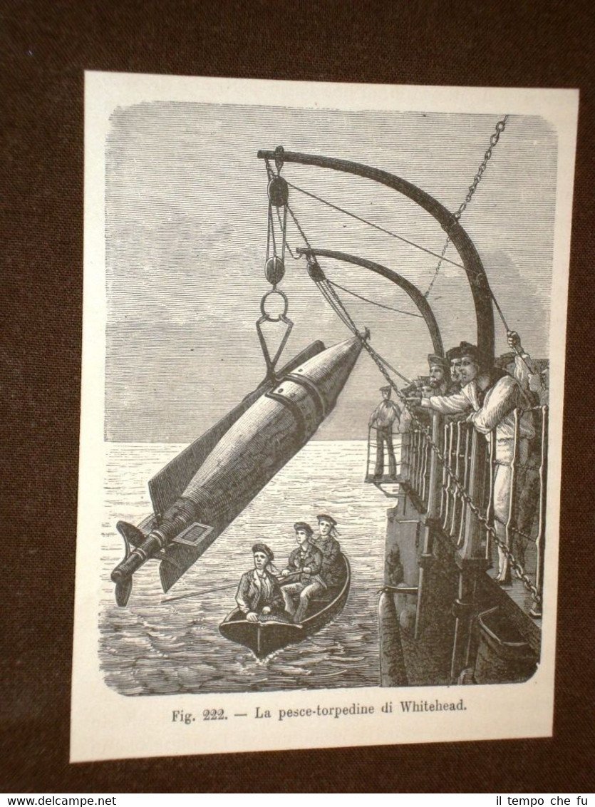 La marina nella storia La pesce torpedine di Whitehead