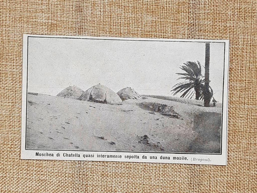 La Moschea di Chatella nel 1915 Algeri Algeria