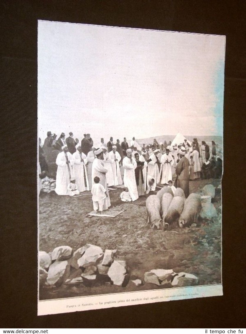 La Pasqua in Samaria o Shomron Isdraele