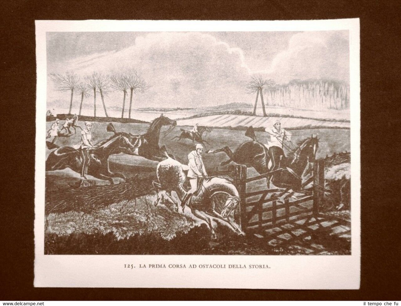 La prima corsa ad ostacoli della storia Cavalli Stampa popolare …