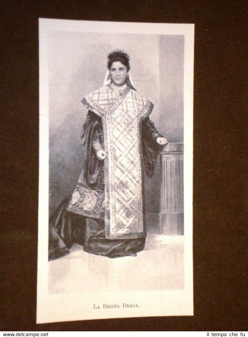 La Regina Draga di Serbia