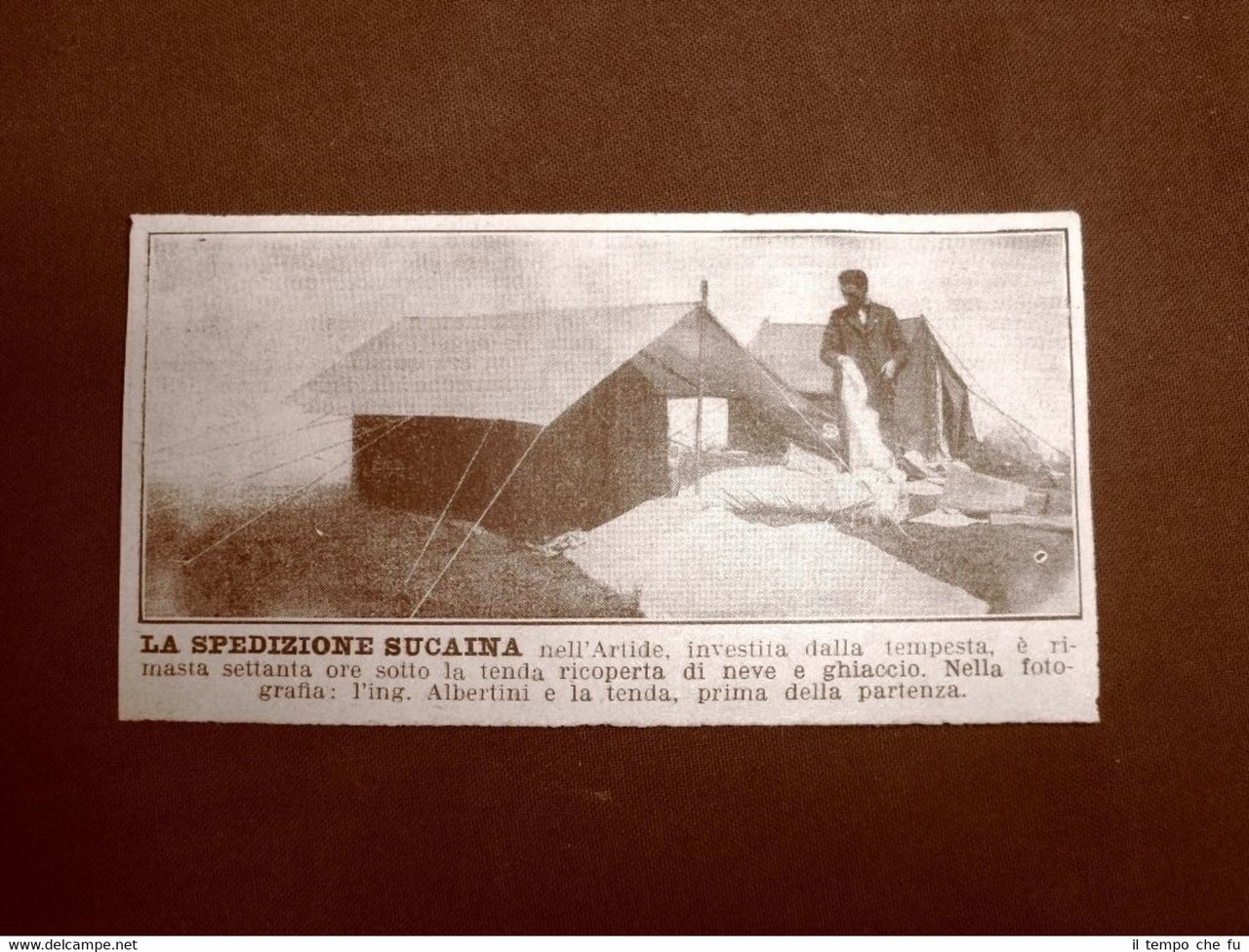 La spedizione Sucaina nell'Artide nel 1929 L'ingegnere Albertini | Immagine principale