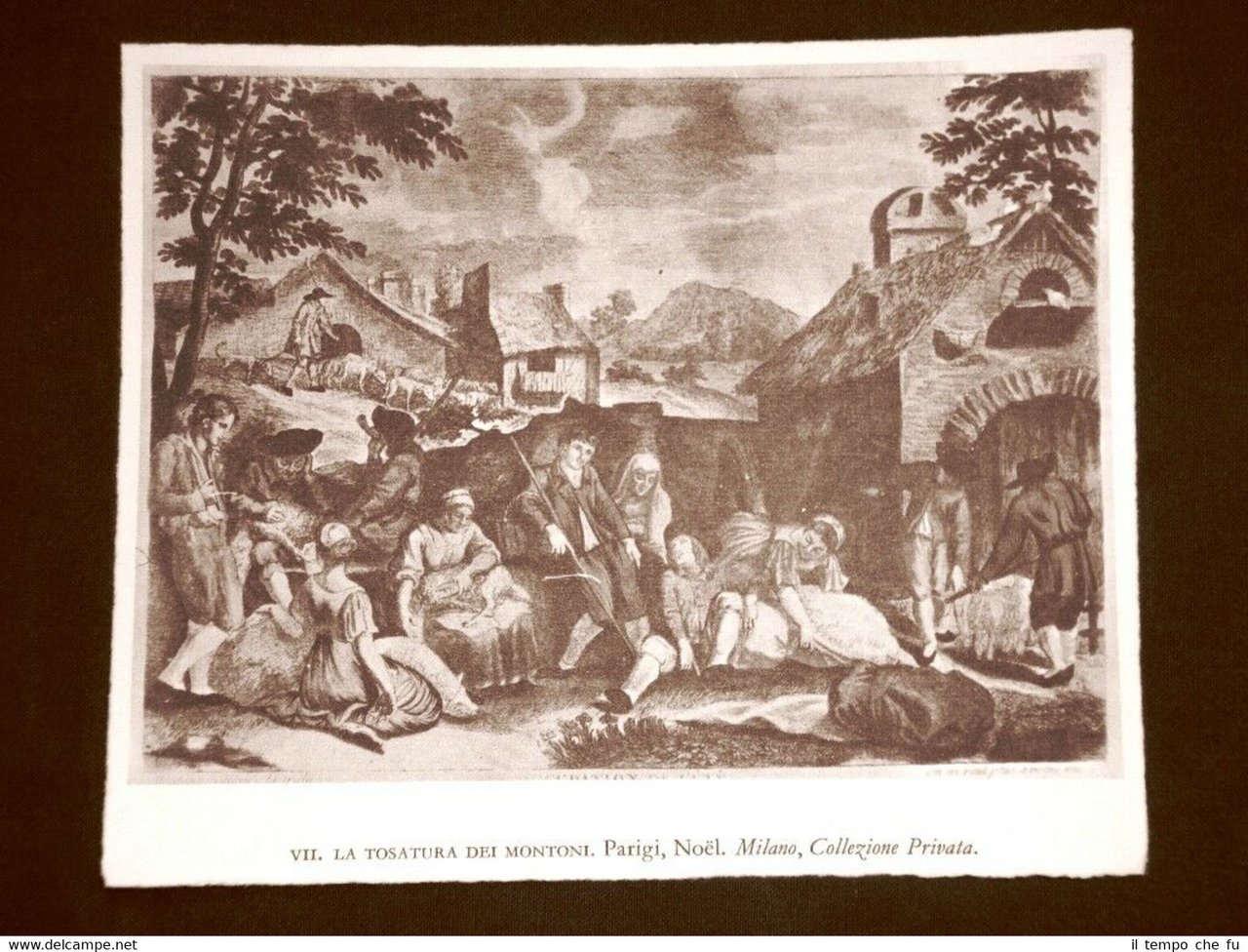 La tosatura dei montoni Noel Milano Collezione privata Stampa popolare …