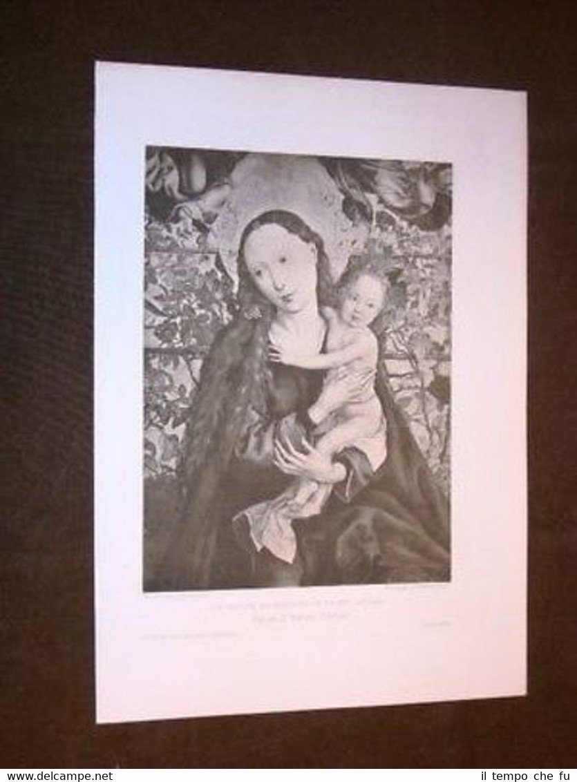 La Vergine nel rosaio o roseto - Martin Schongauer