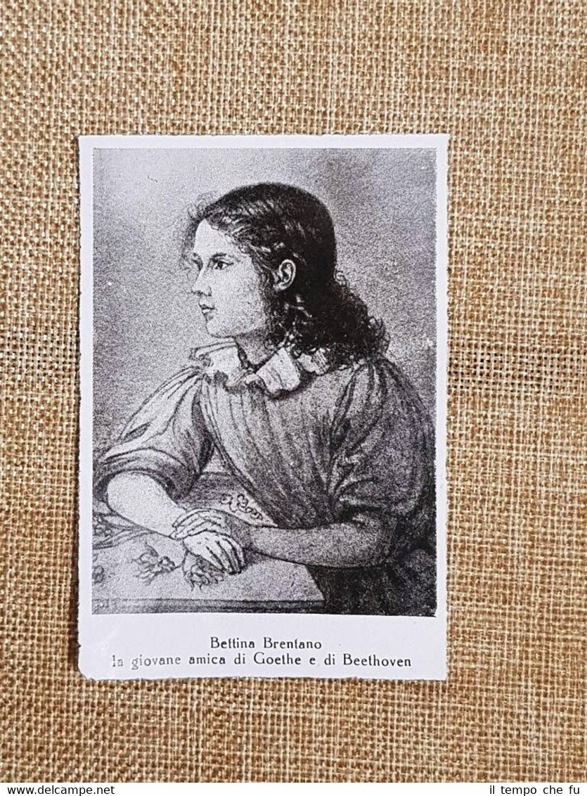 Le donne del compositore Ludwig van Beethoven Bettina Brentano Stampa …