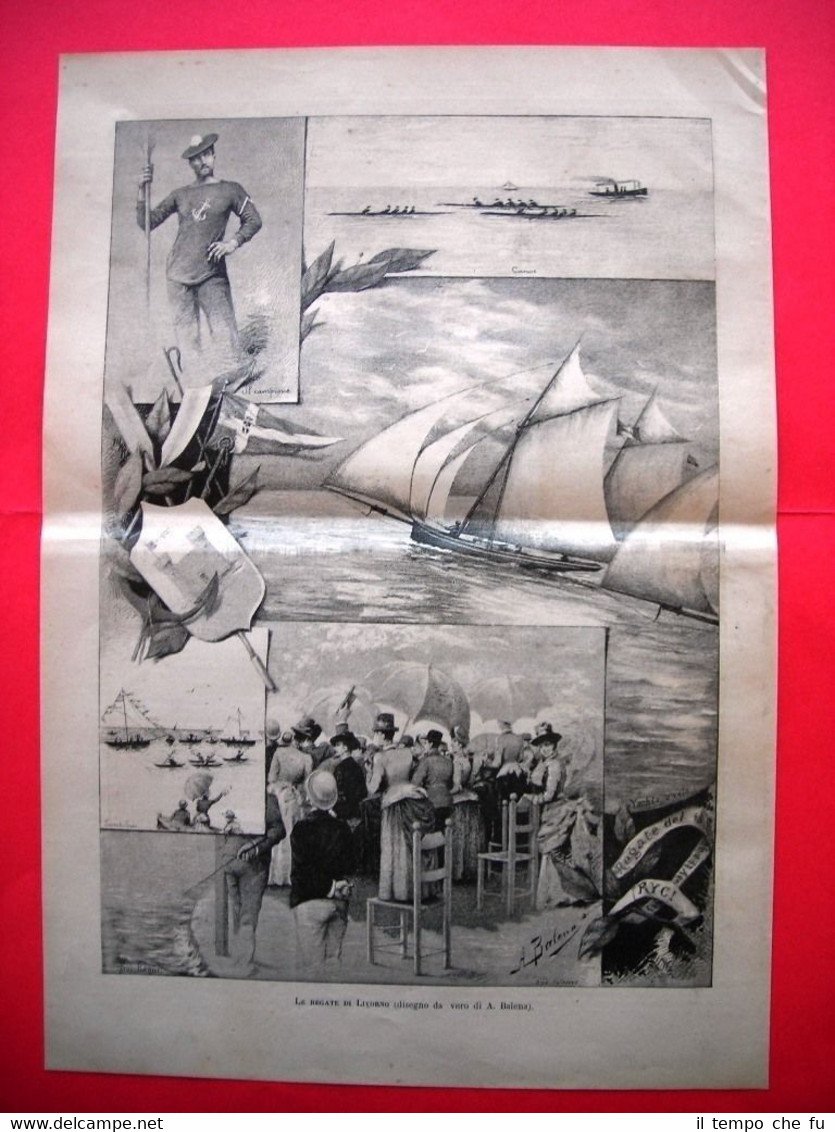 Le regate di Livorno nel 1885 (disegno da vero di … | Immagine principale