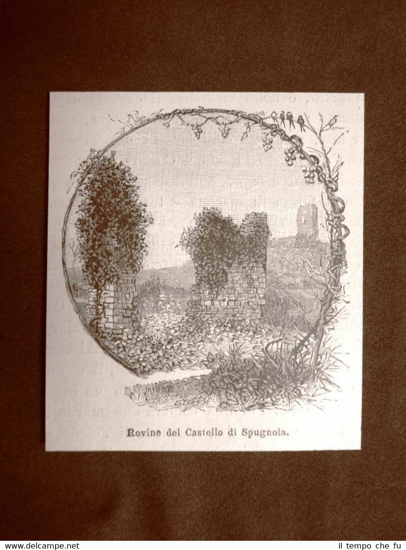 Le rovine del Castello di Spugnola o Spugnole nel 1891
