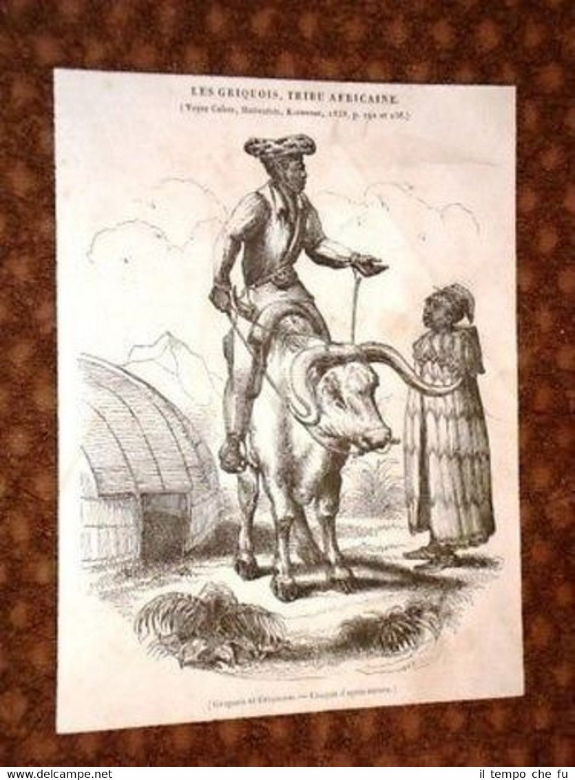 Les Griquois o Griquas Tribù Africana Etnia di Africa