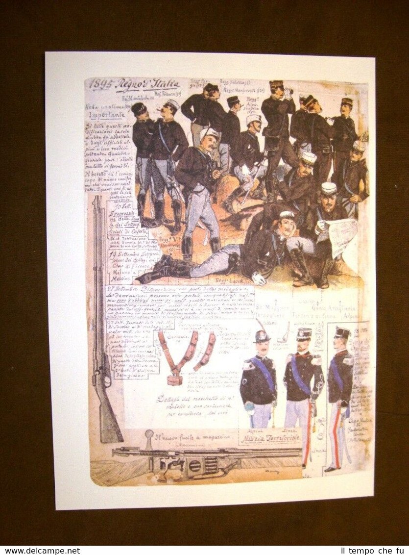 Lucca Granatieri Sardegna Regio Esercito Italiano Quinto Cenni Uniformologia 60