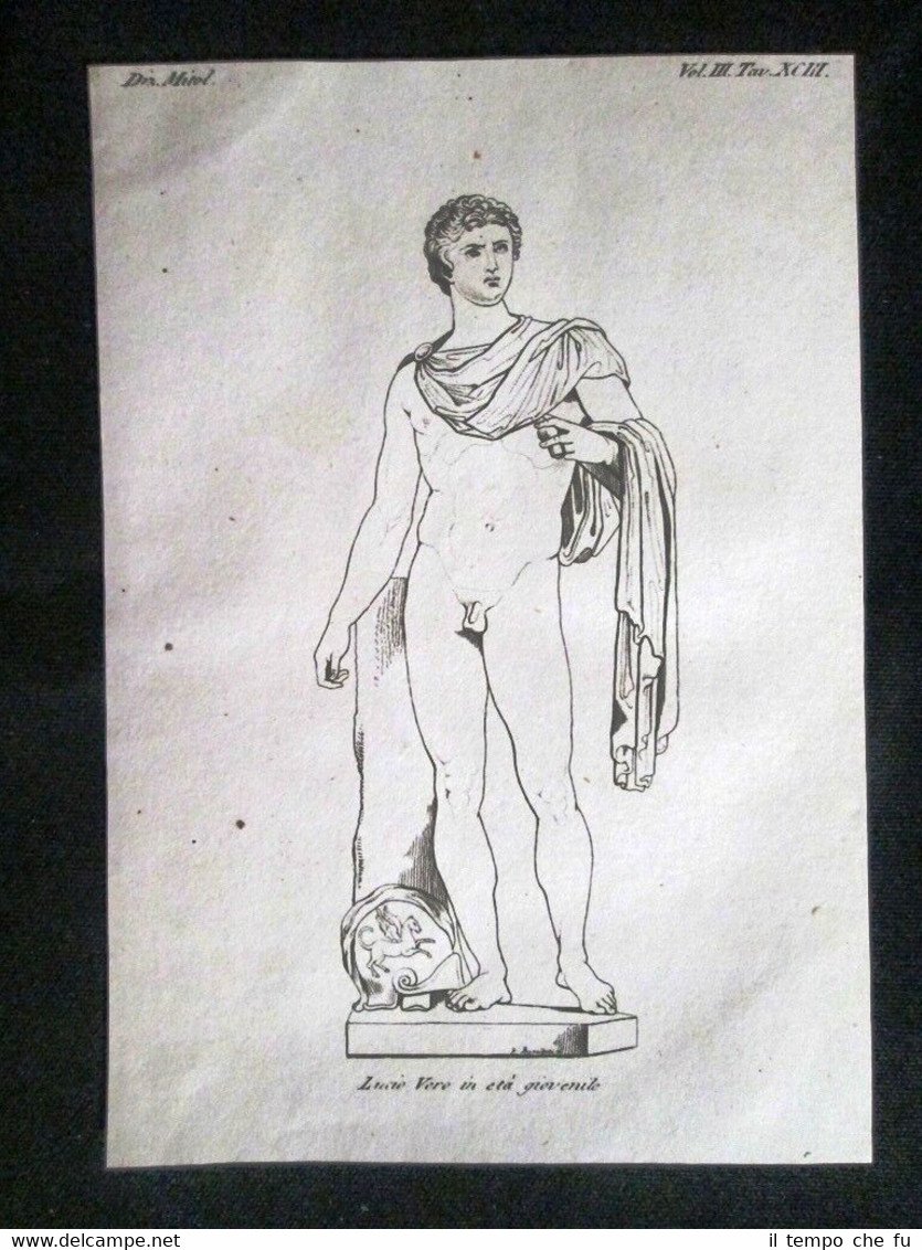 Lucio Vero, età giovanile Incisione all'acquaforte del 1820 Mitologia Pozzoli
