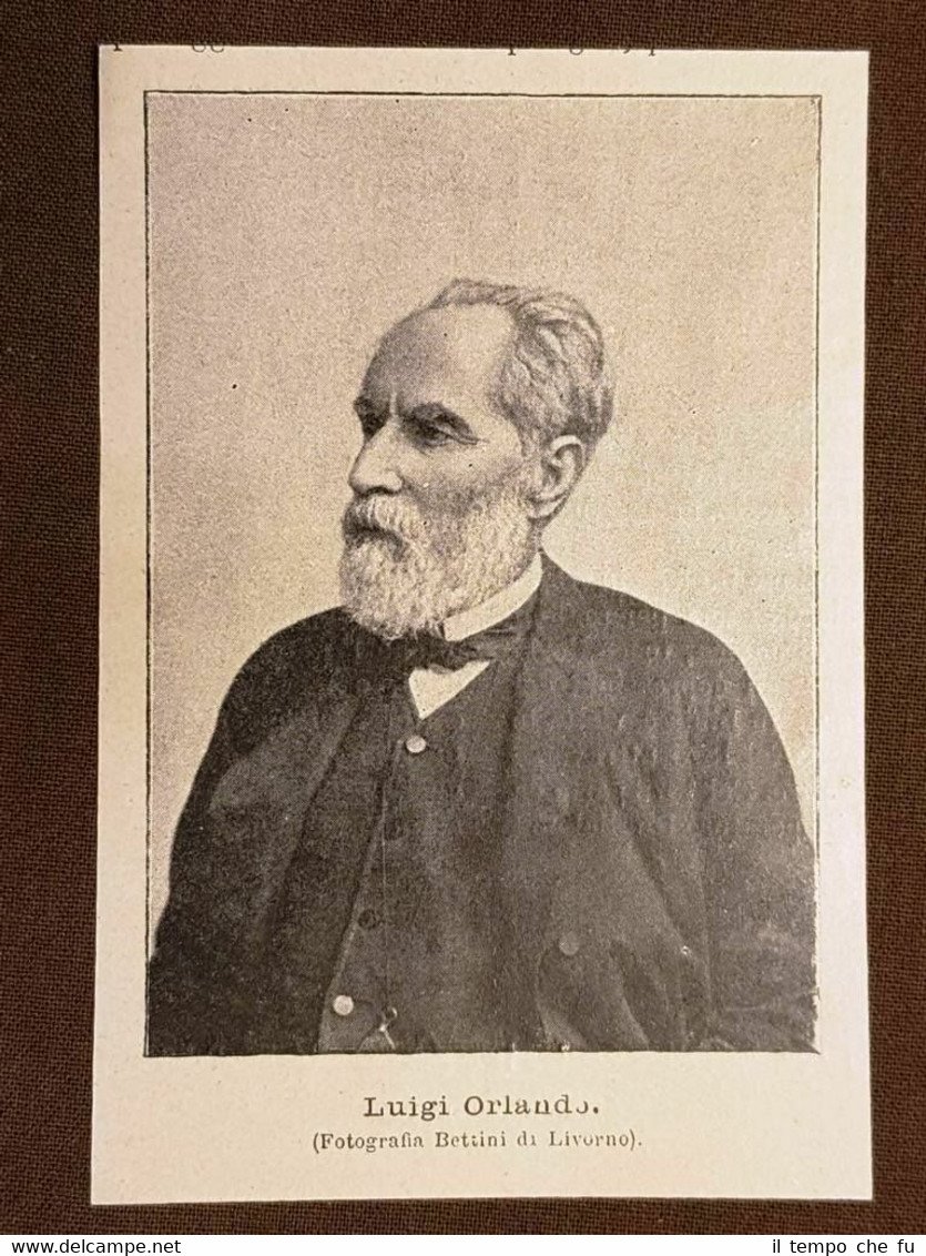 Luigi Orlando Palermo, 2 marzo 1814 – Livorno, 14 giugno … | Immagine principale
