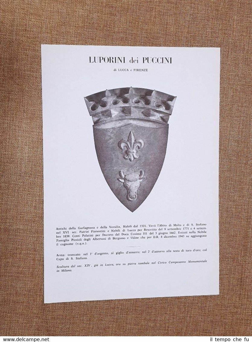 Luporini dei Puccini di Lucca e Firenze Stemma Famiglia Nobile …