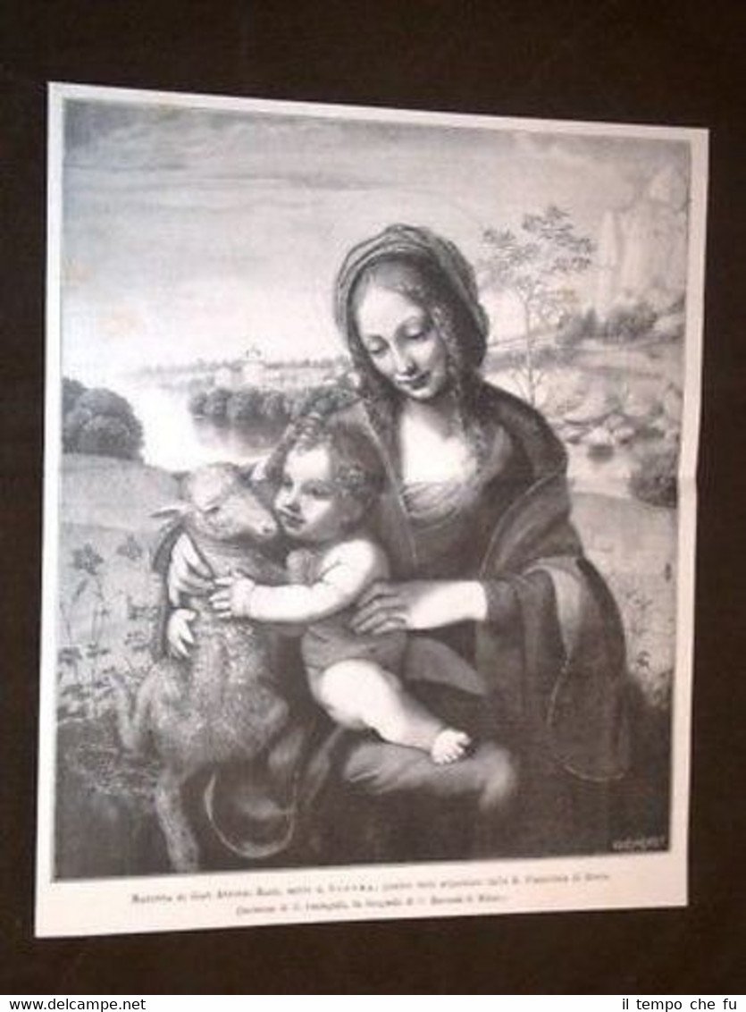 Madonna di Gian Antonio Bazzi detto il Sodoma | Immagine principale