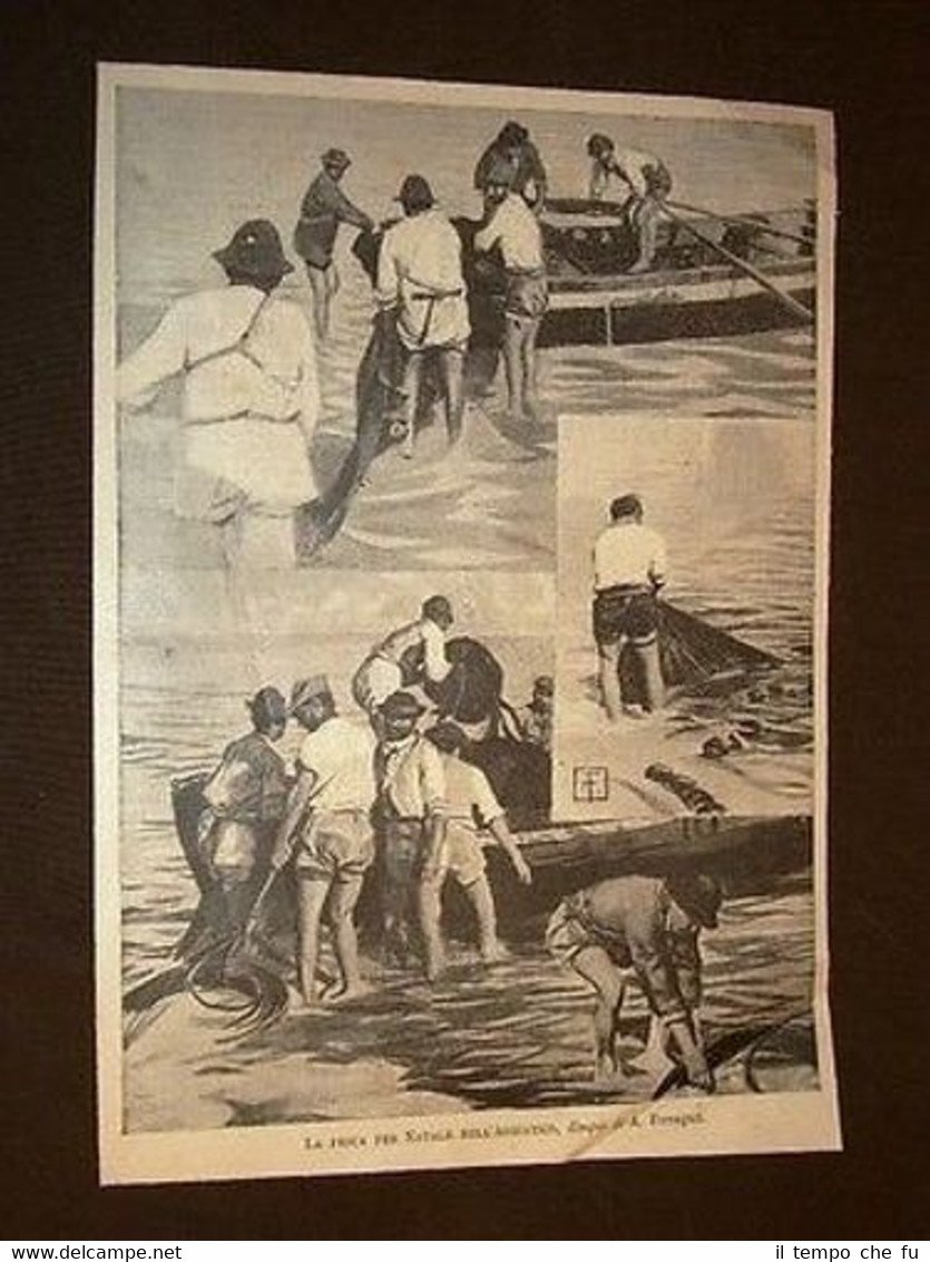 Mare Adriatico La pesca ed i Pescatori per il Natale