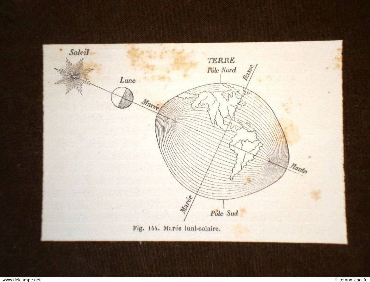Marea luni - solare nel 1864