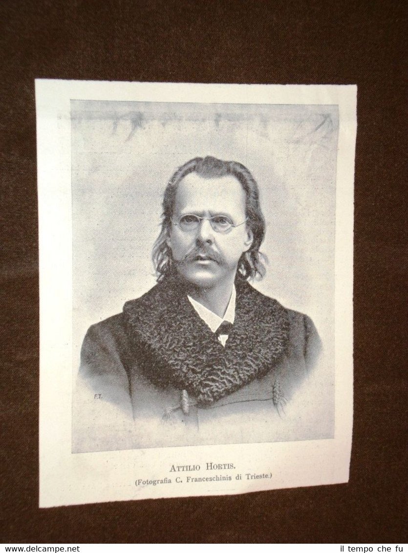 Mario Attilio Francesco Carlo Hortis Trieste 13.05.1850 – Trieste 23.02.1926