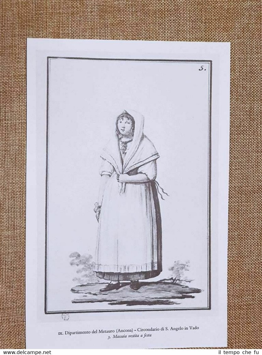 Massaia e terrazzano di S.Angelo in Vado Metauro Ancona Regno …