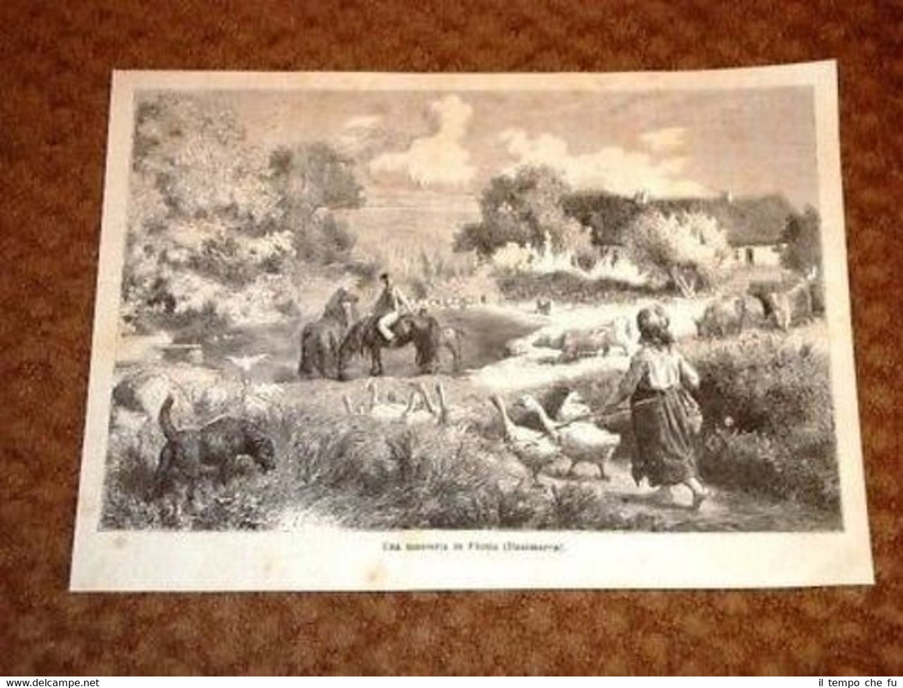 Masseria o Fattoria in Fionia Danimarca | Immagine principale