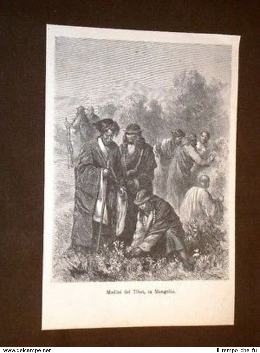 Medici del Tibet o Tibetani Mongolia