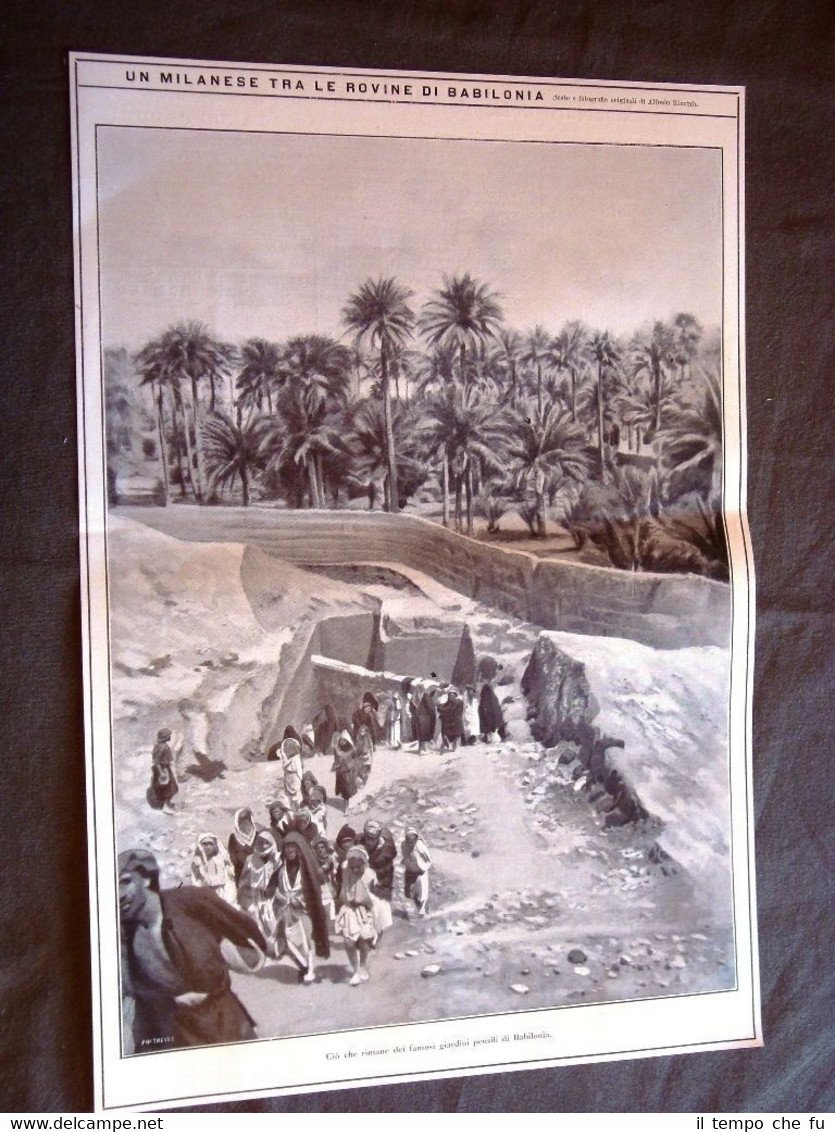 Mesopotamia nel 1911 Giardini pensili di Babilonia + Ammiraglio Montecuccoli