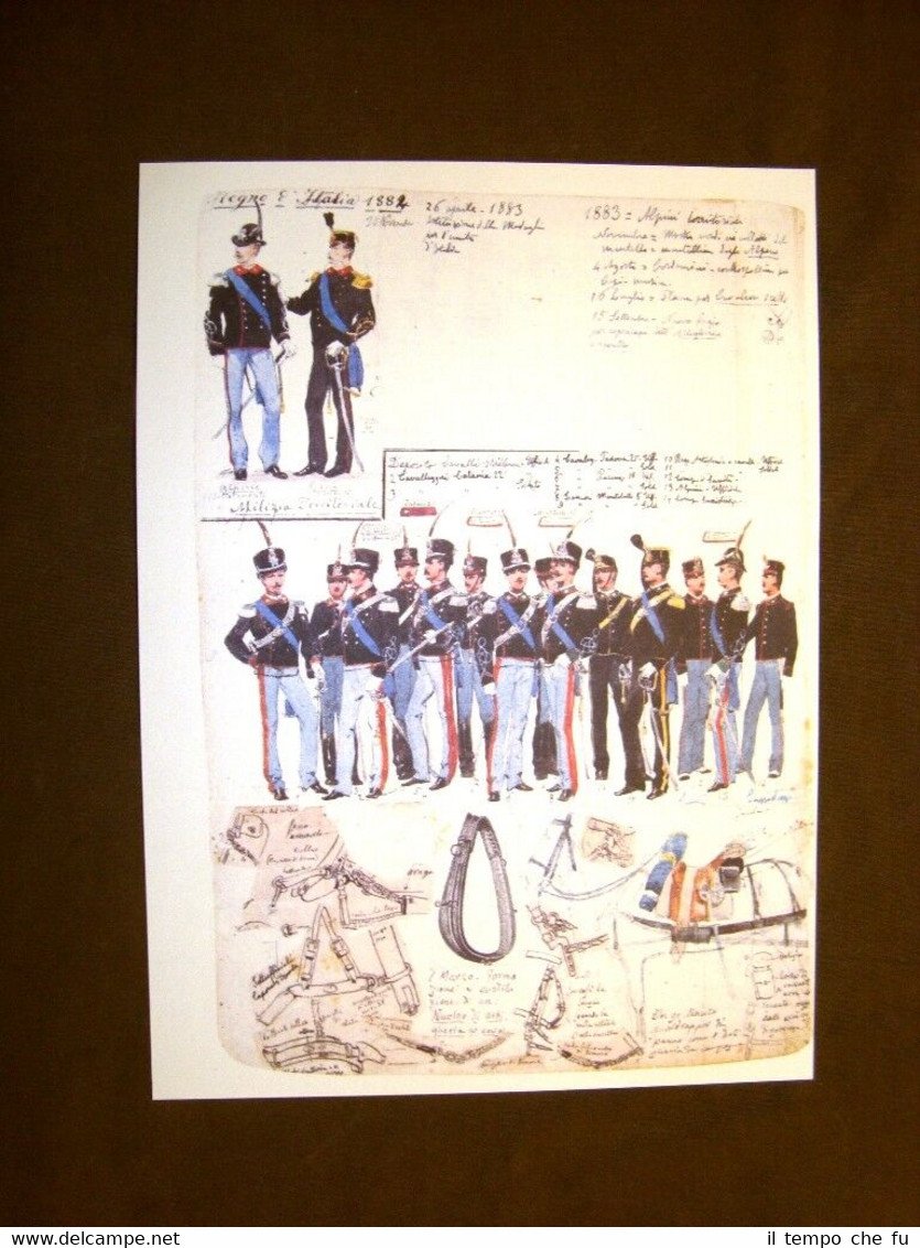 Milizia territoriale Regio Esercito Italiano Quinto Cenni Uniformologia Tav. 39 | Immagine principale