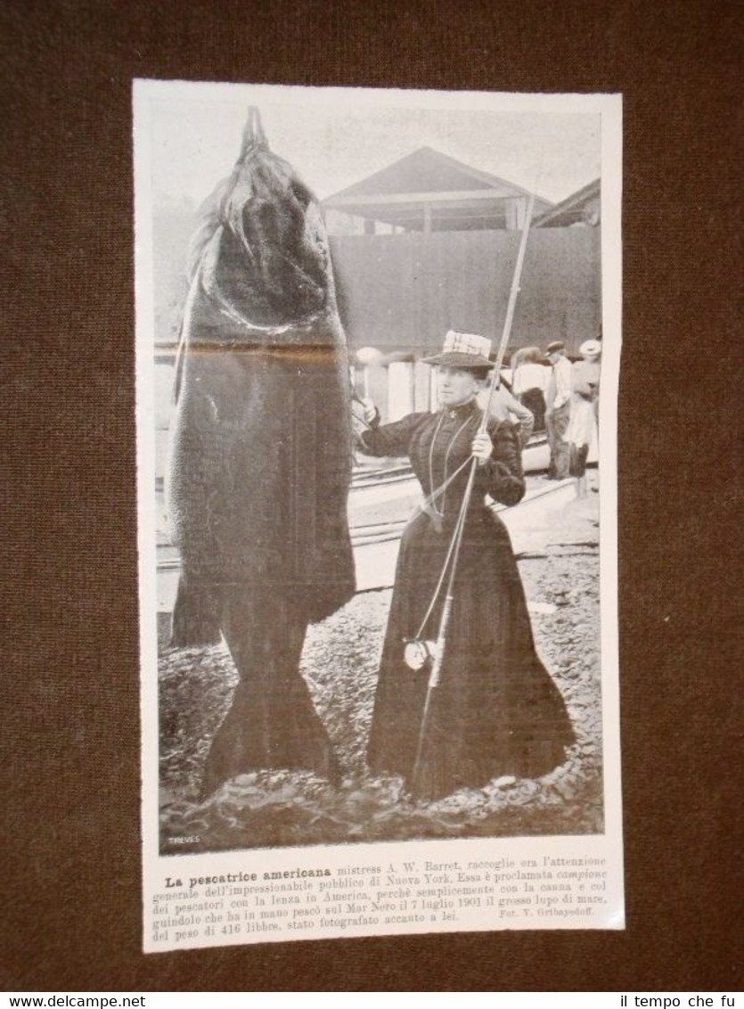 Mistress A.W. Barret nel 1902 Pescatrice Lupo di mare preso …