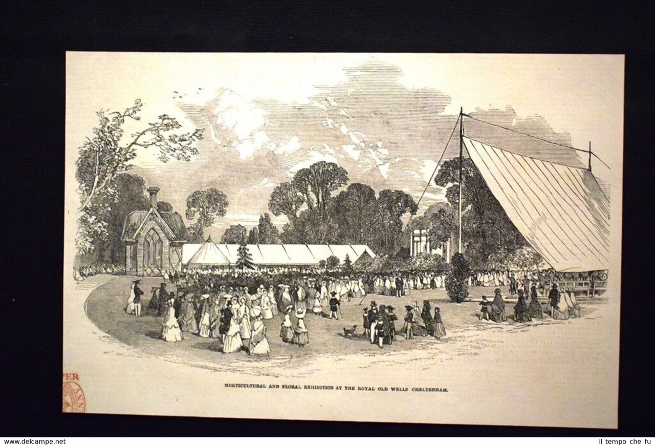 Mostra orticola e floreale alla Royal Old Wells Cheltenham Incisione …