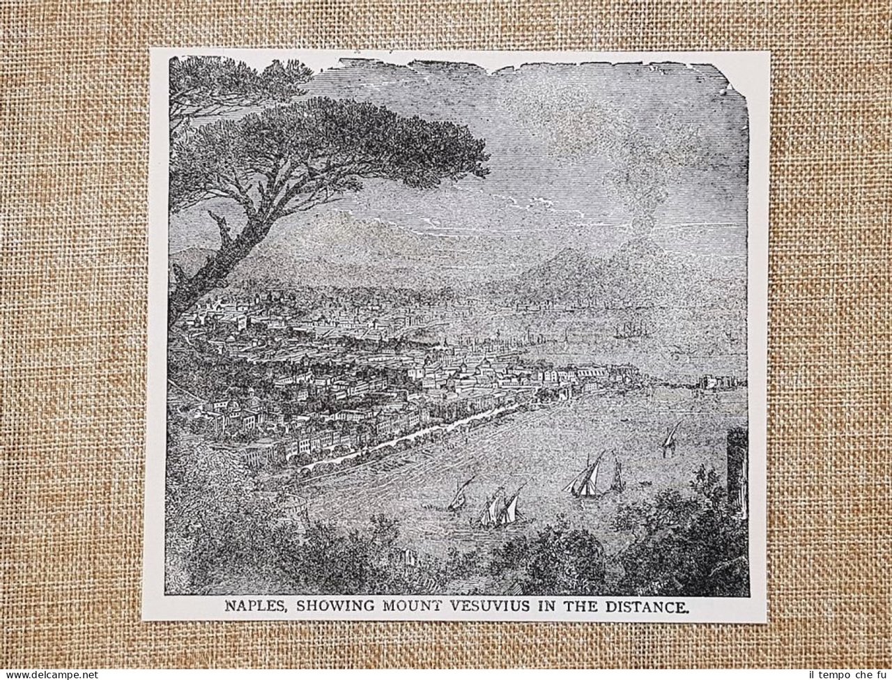 Napoli nel 1909 La città e veduta del vulcano Vesuvio … | Immagine principale