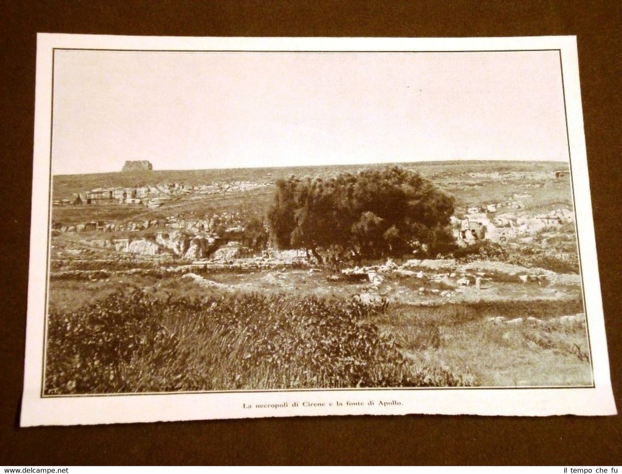 Necropoli di Cirene e Fonte d'Apollo nel 1911 Shahhat Al … | Immagine principale