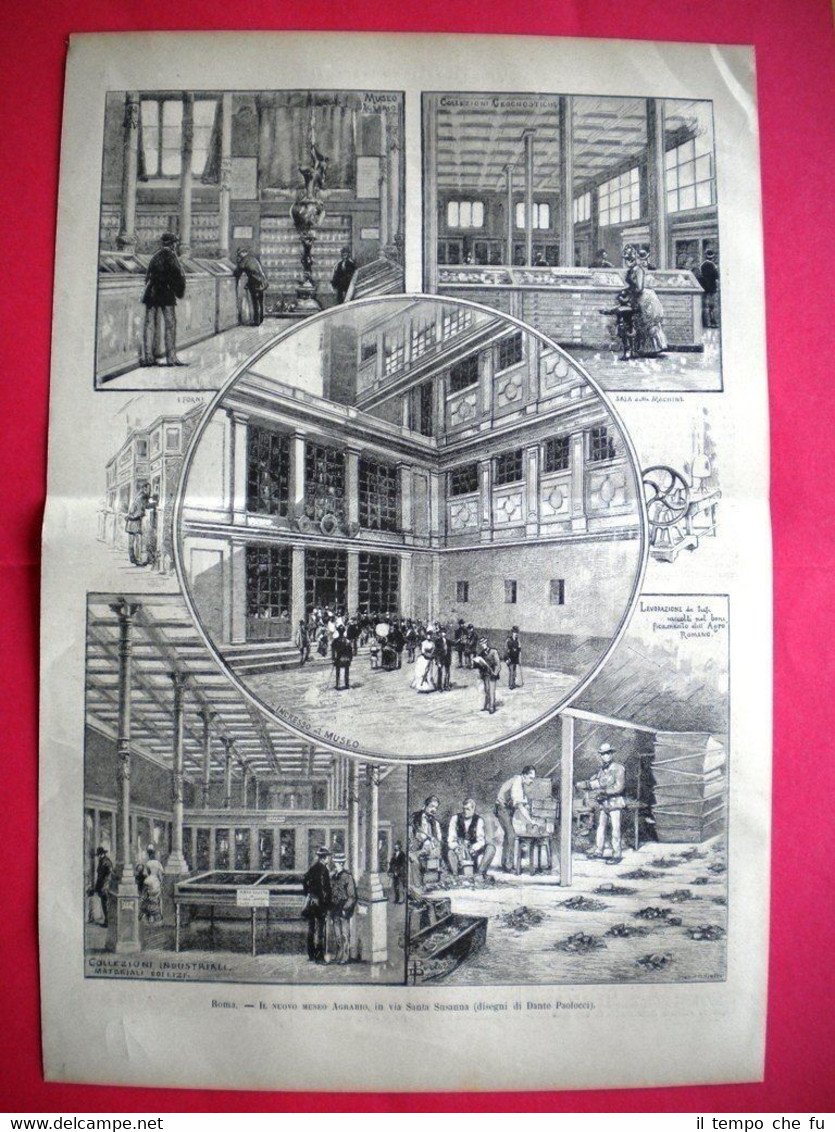 Nel 1885 a Roma - Il nuovo Museo Agrario, in …