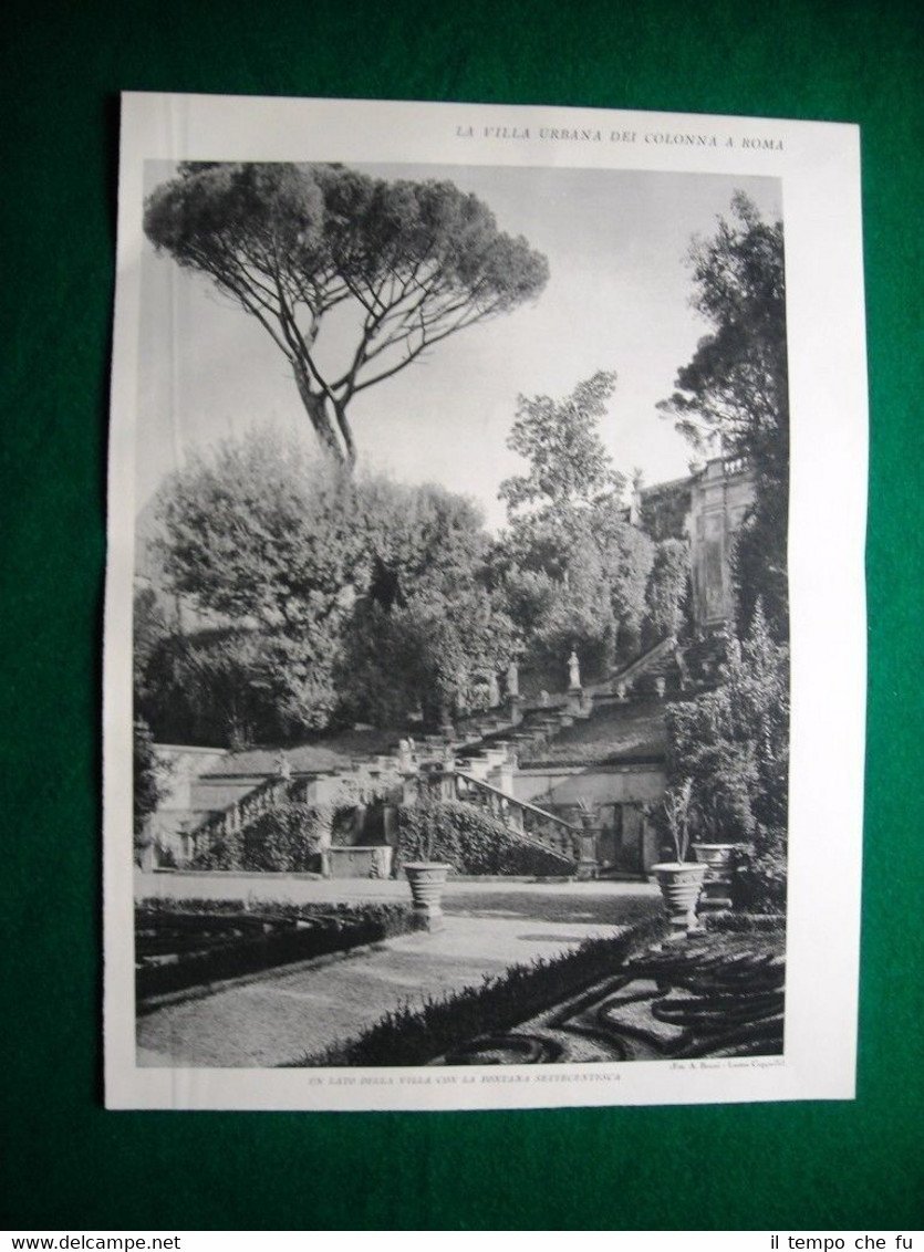 Nel 1931 Roma Villa Urbana dei Colonna Veduta Giardino Superiore