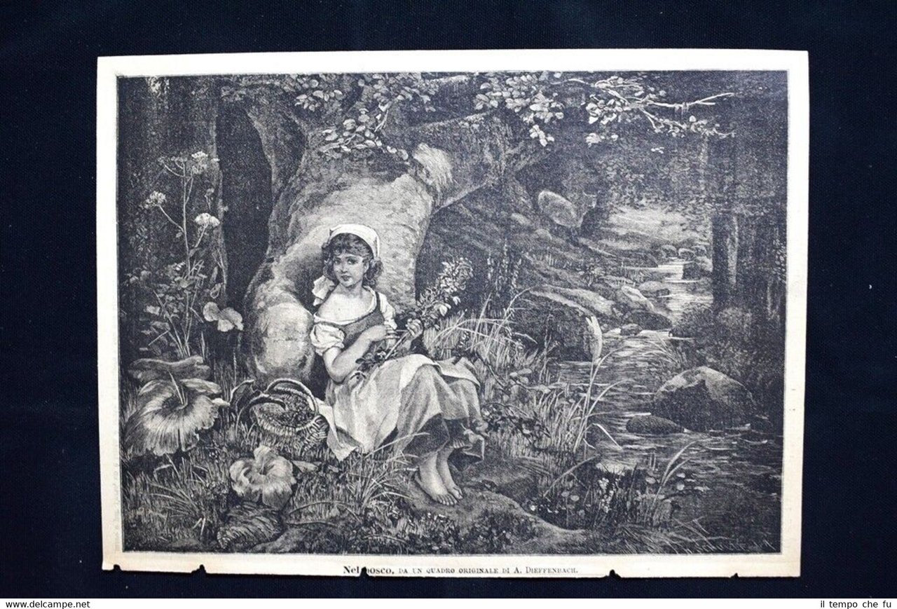 Nel bosco, da un quadro originale di A. Dieffenbach Incisione …