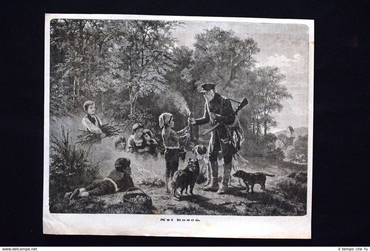 Nel bosco + Le Piovre di Parigi #10 Incisione del …