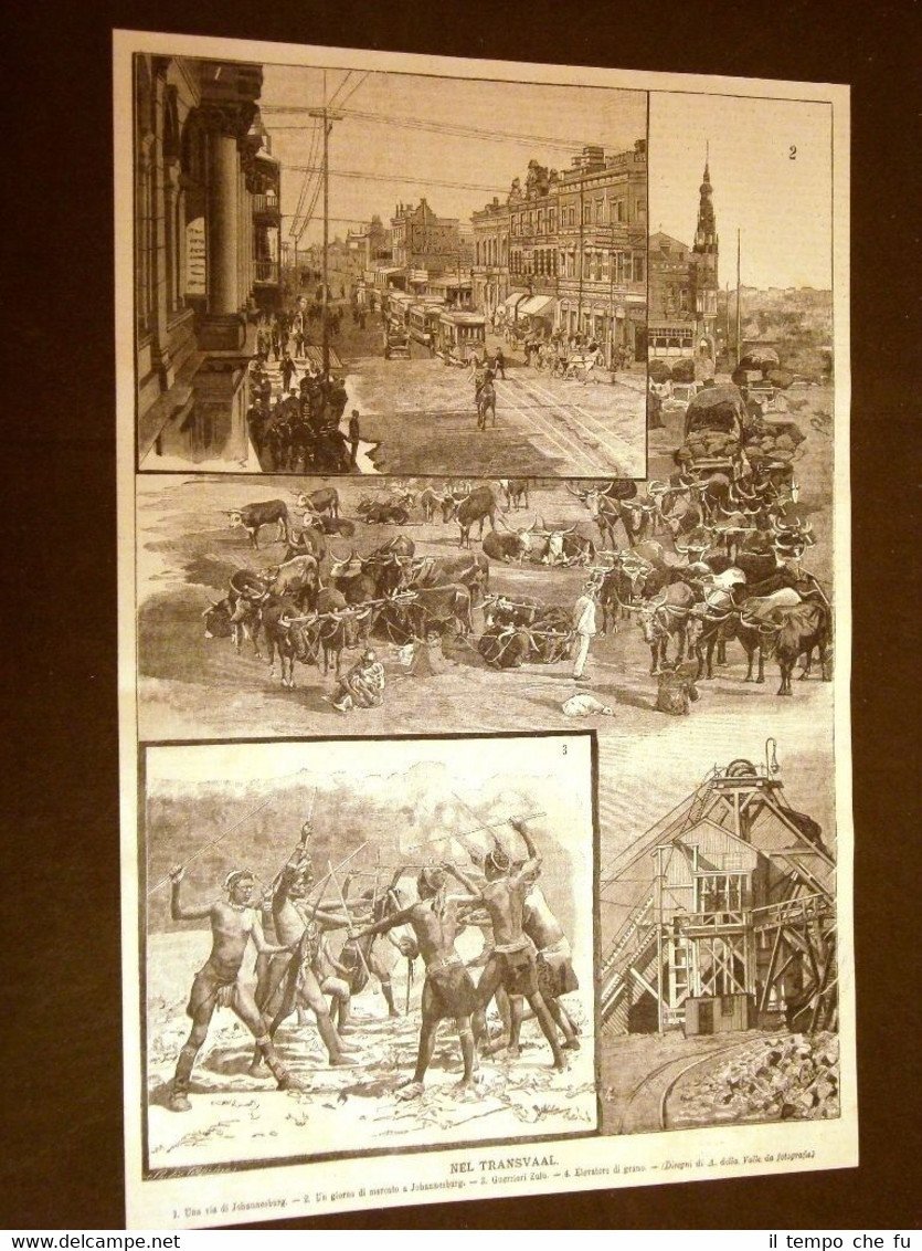 Nel Transvaal nel 1896 Johannesburg Zulù Elevatore di grano Sudafrica