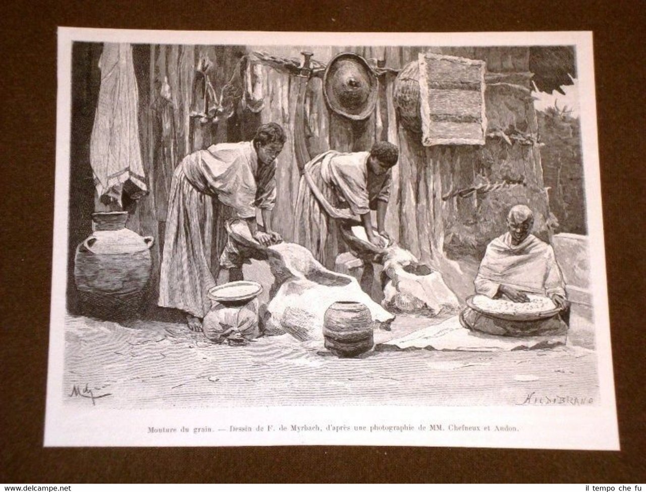 Nell'Abissinia meridionale nel 1889 La pulizia del grano Etiopia