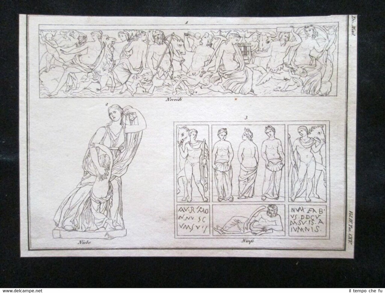 Nereidi, Niobe, Ninfe Incisione all'acquaforte del 1820 Mitologia Pozzoli